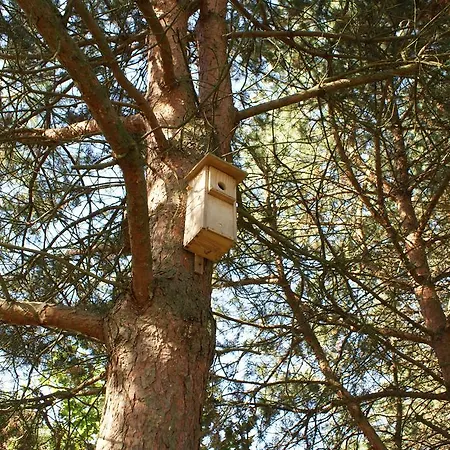 Сasa de vacaciones Dom Pod Lasem Jagodne Wielkie