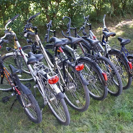 Dom Pod Lasem * Jagodne Wielkie