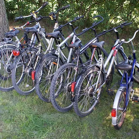 Semesterbostad Dom Pod Lasem
